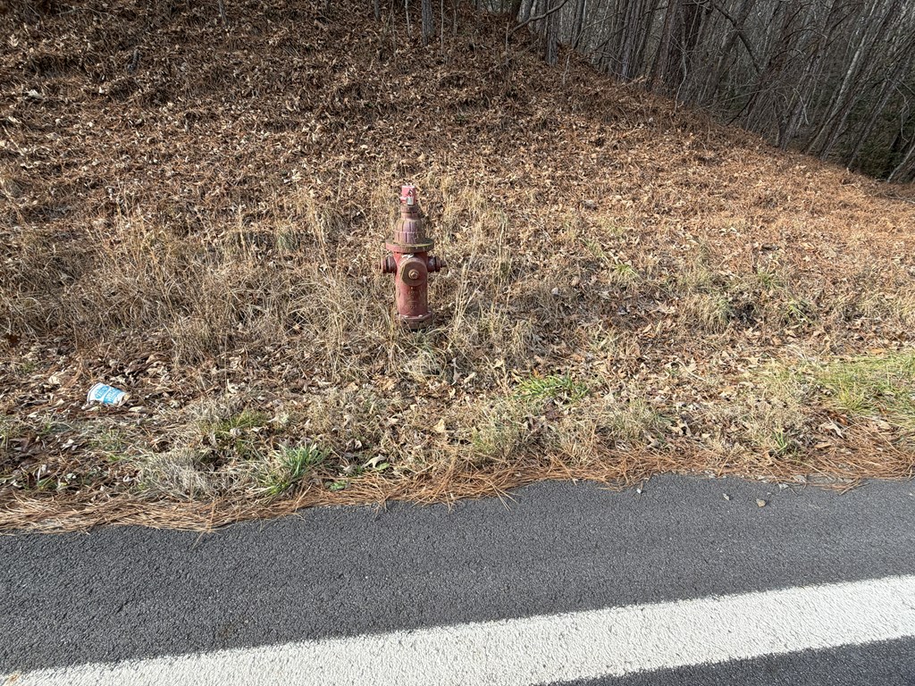 56.6-ac Cutcane Road Mineral Bluff, GA 30559 - Photo 15 of 15 a view of a yard