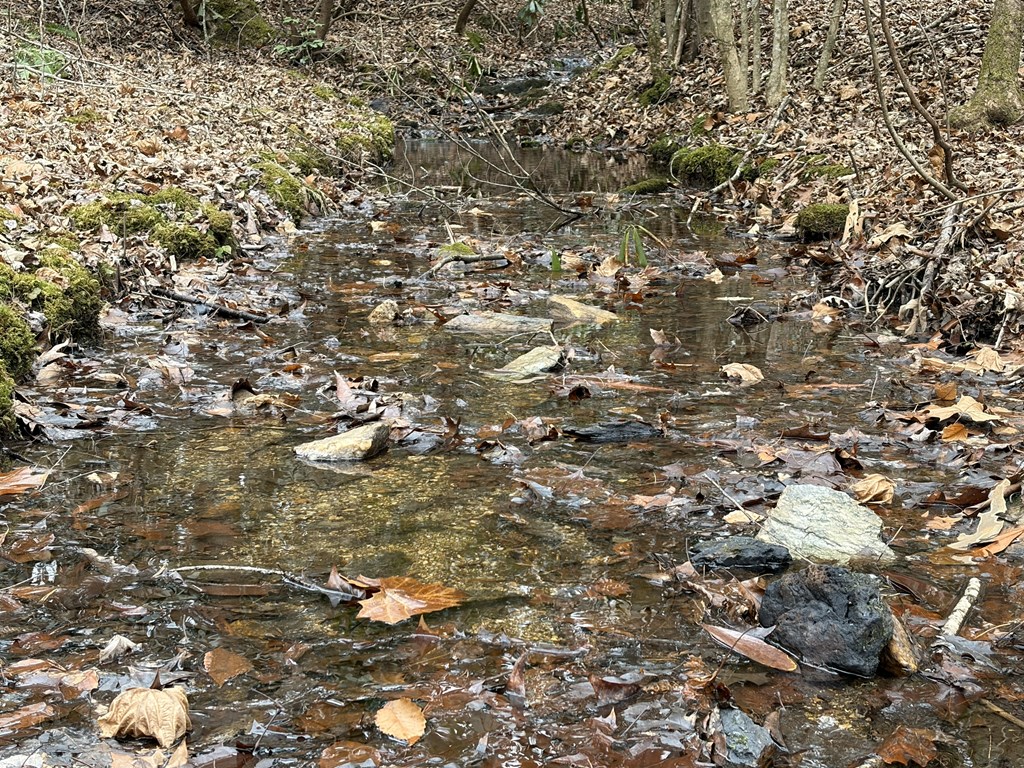 56.6-ac Cutcane Road Mineral Bluff, GA 30559 - Photo 8 of 15