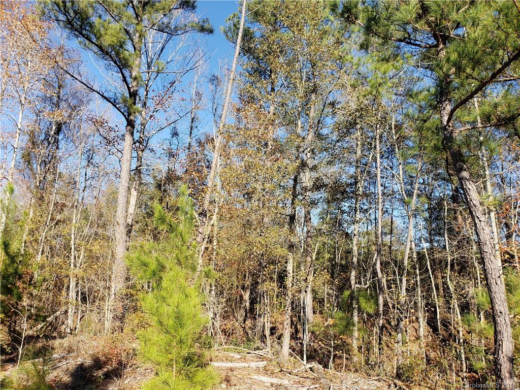 0 Old Stage Road Latta, SC 29565 - Photo 11 of 11 Gallery Image 11