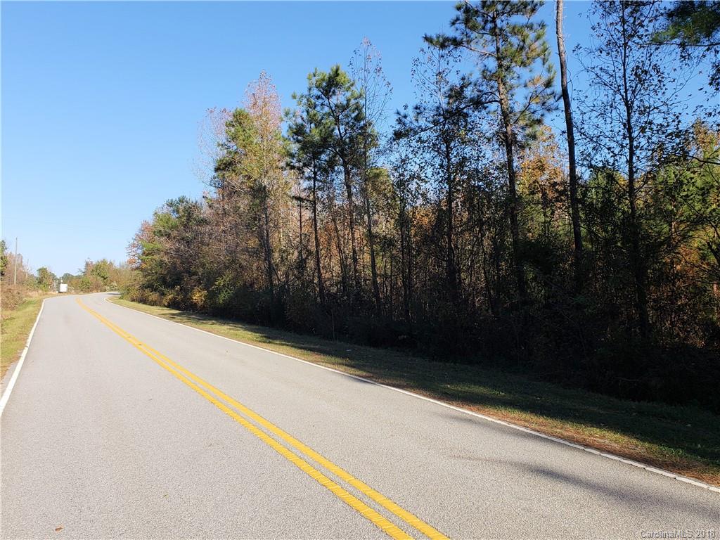 0 Old Stage Road Latta, SC 29565 - Photo 7 of 11 Gallery Image 7