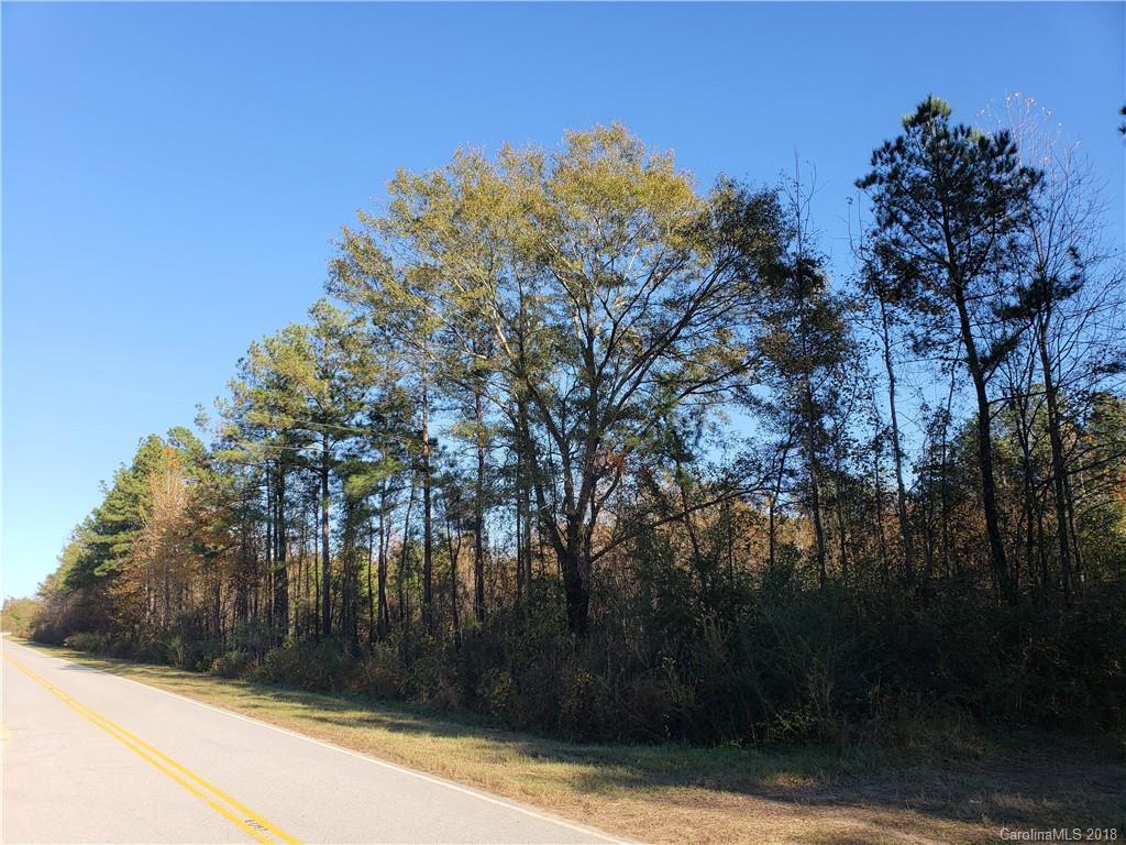 0 Old Stage Road Latta, SC 29565 - Photo 10 of 11 Gallery Image 10