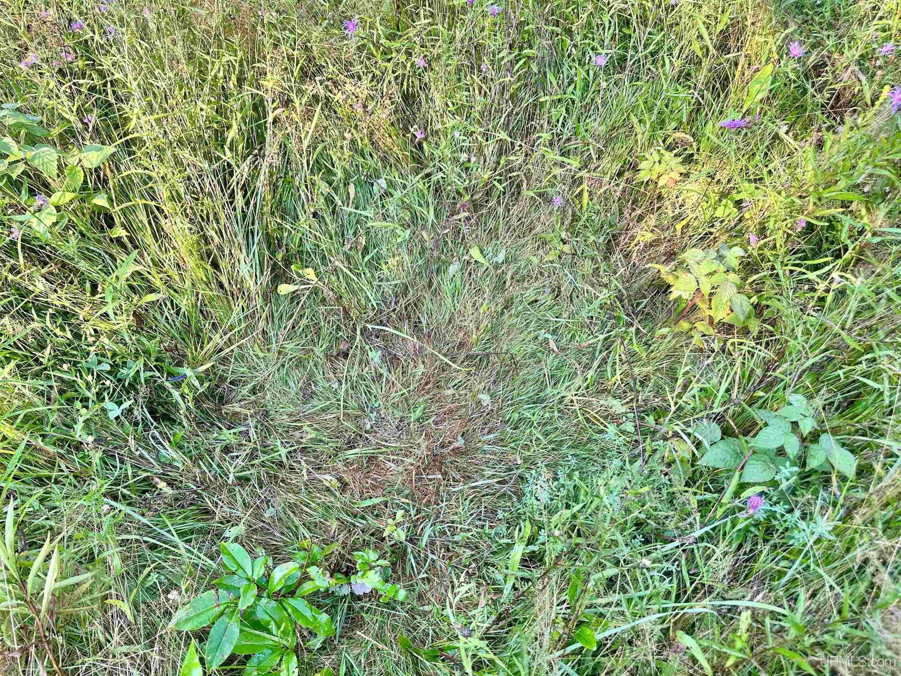 Tbd Crestview Road Ironwood, MI 49938 - Photo 34 of 49