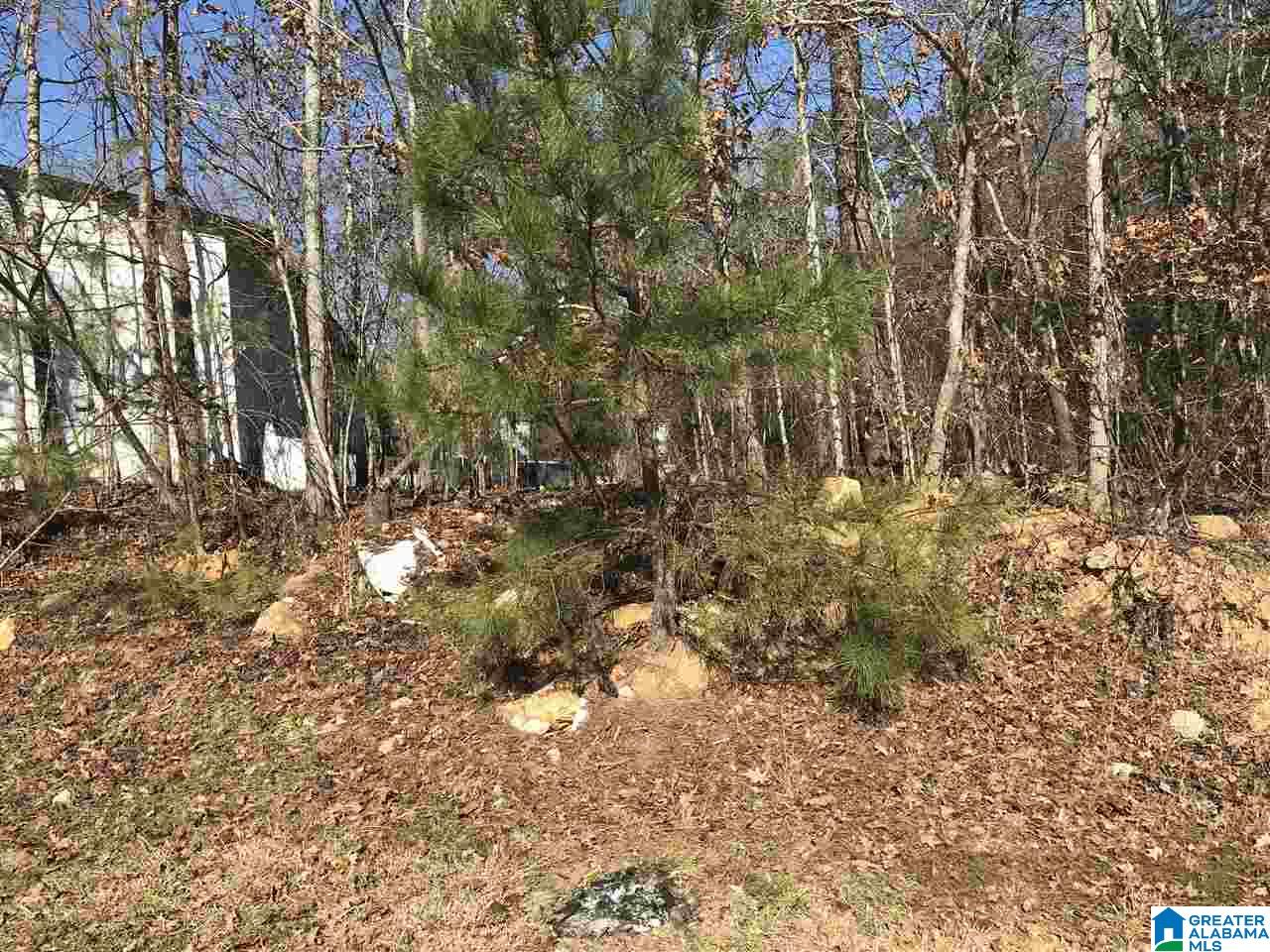8020 Stemley Bridge Road, Unit PARCEL Talladega, AL 35160 - Photo 6 of 6