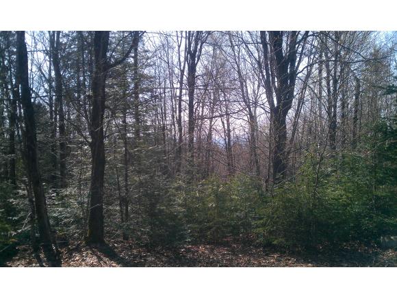 1 Blake Pond Road Sheffield, VT 05866 - Photo 1 of 4 Gallery Image 1