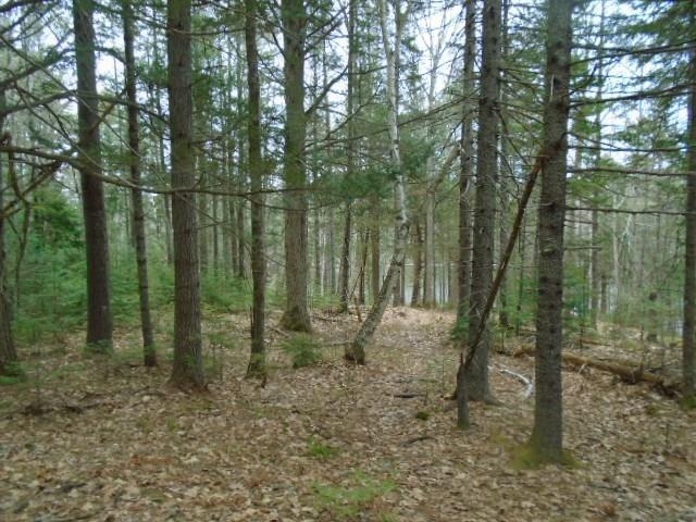 Lot D Lot D Young's Point Road Wiscasset, ME 04578 - Photo 8 of 12 20181010012911817147000000-o