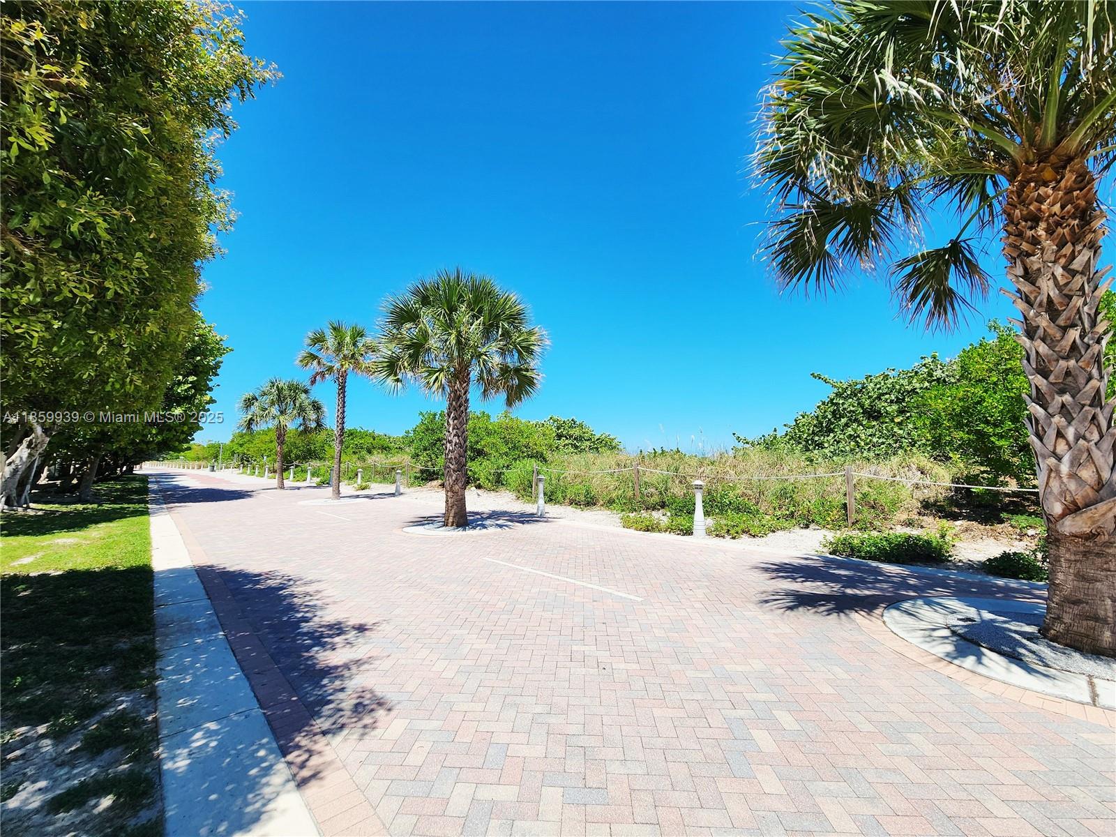 5555 Collins Avenue, Unit 9S Miami Beach, FL 33140 - Photo 33 of 48 a view of a street with a yard and trees
