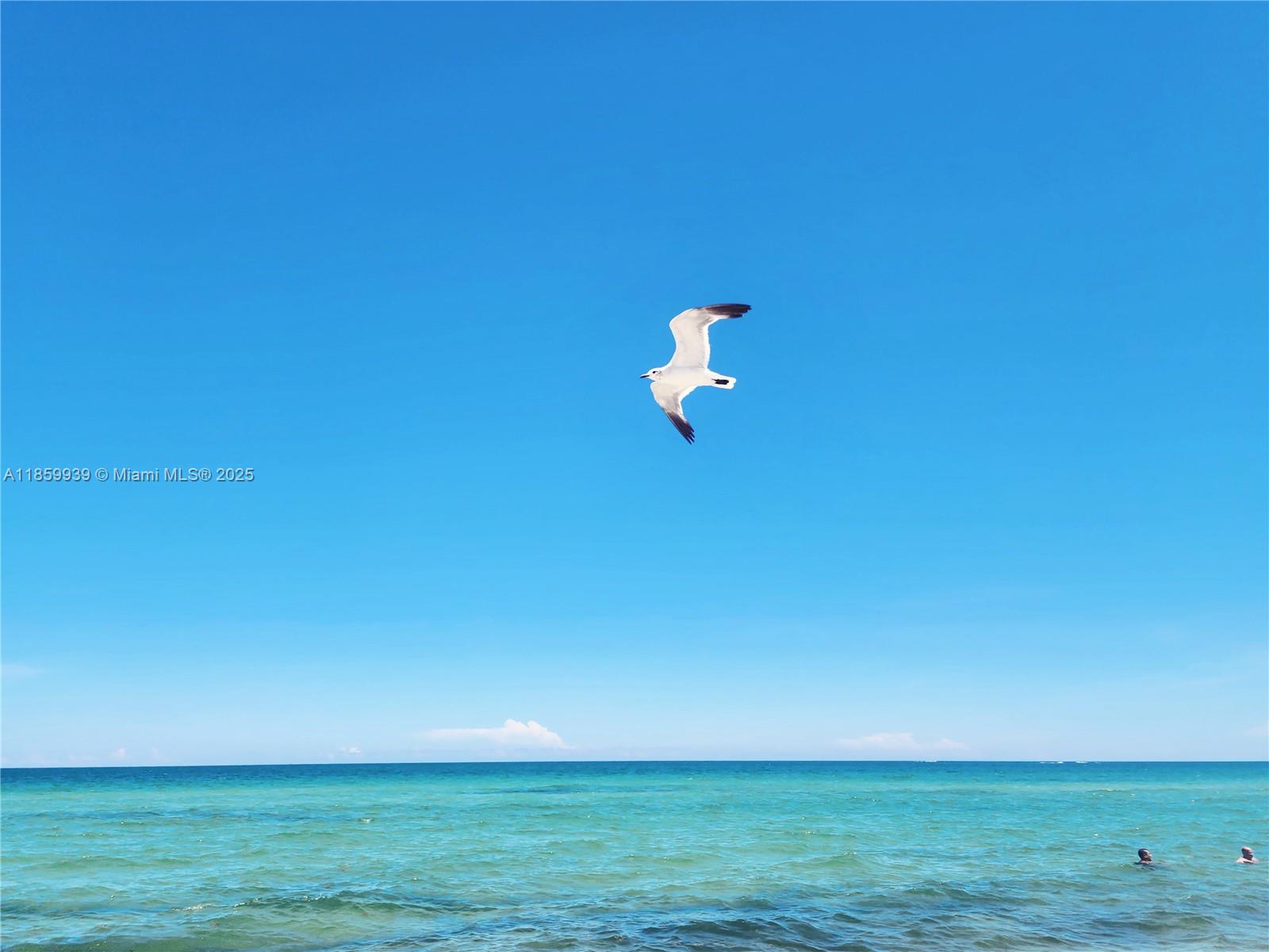 5555 Collins Avenue, Unit 9S Miami Beach, FL 33140 - Photo 41 of 48 a view of a room