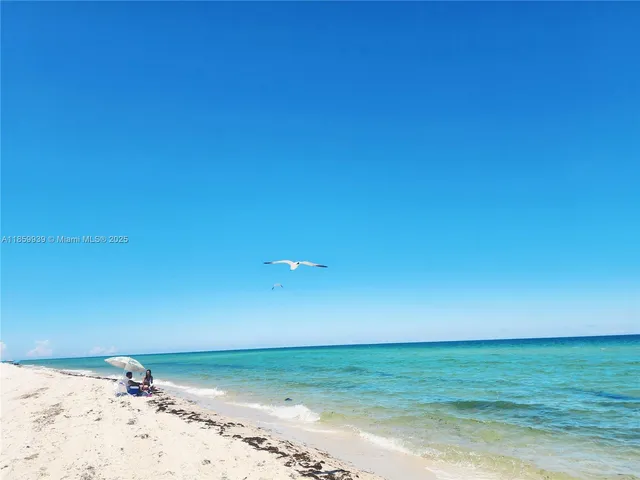 a view of beach and ocean