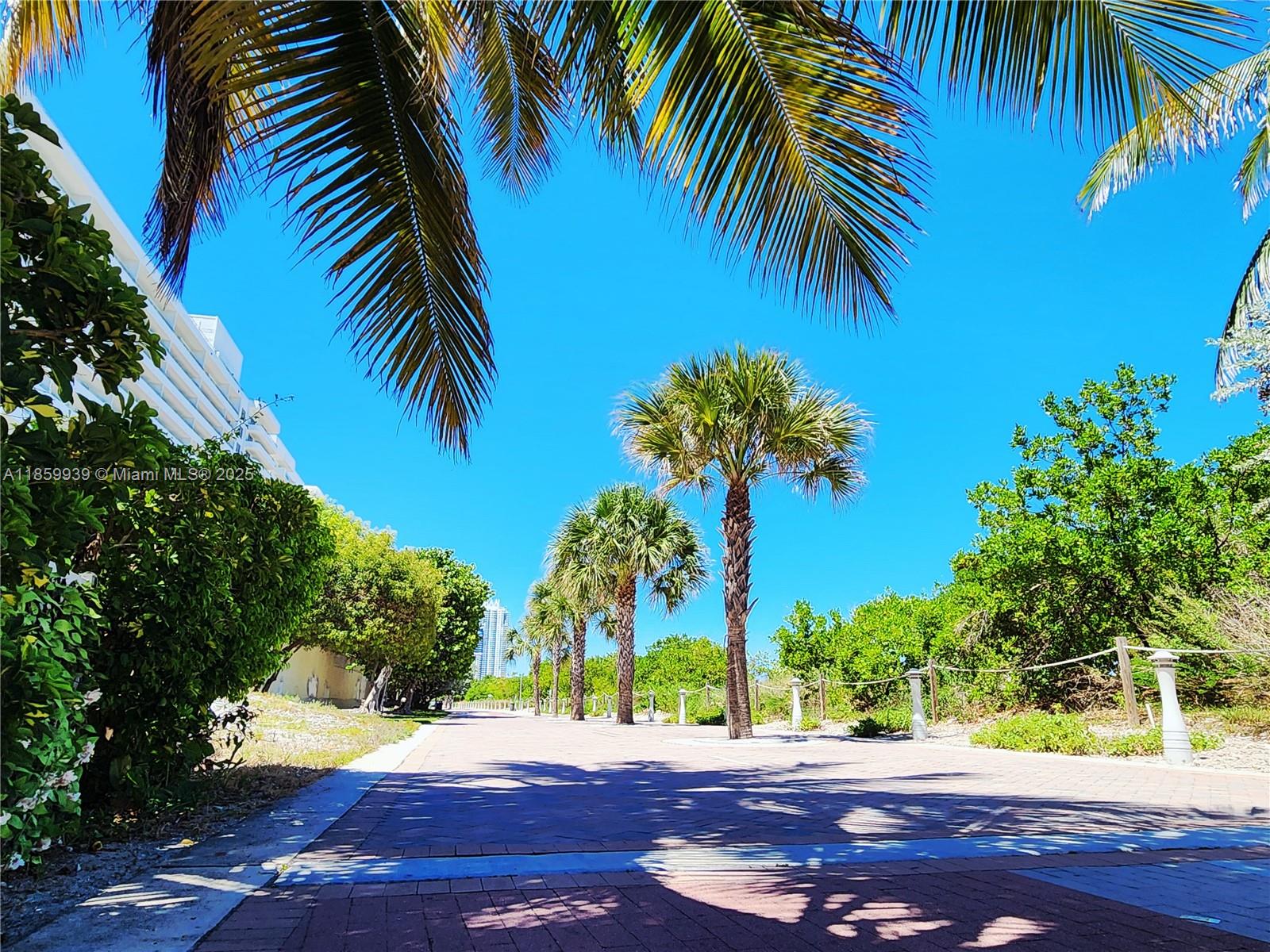 5555 Collins Avenue, Unit 9S Miami Beach, FL 33140 - Photo 44 of 48 a big yard with palm trees