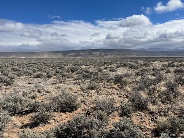 a view of a bunch of trees