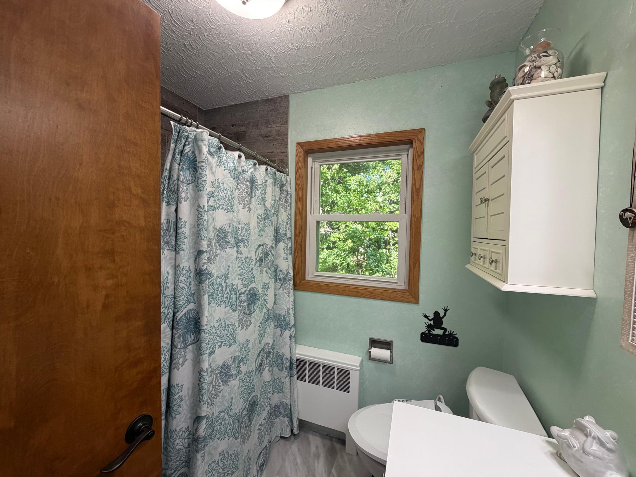 31265 Eagle Lake Road Frazee, MN 56544 - Photo 27 of 80