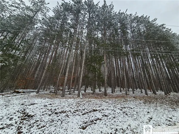 $49,900 | Butternut Brook Road, Portville, NY 14770