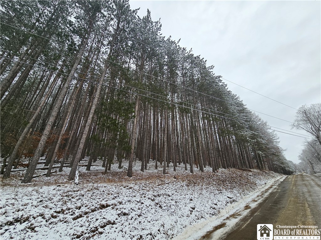 Butternut Brook Road Portville, NY 14770 - Photo 2 of 3