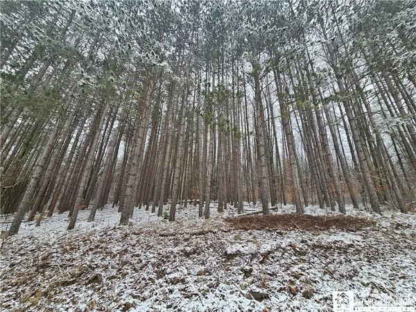 $49,900 | Butternut Brook Road, Portville, NY 14770