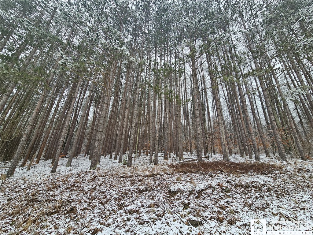 Butternut Brook Road Portville, NY 14770 - Photo 3 of 3