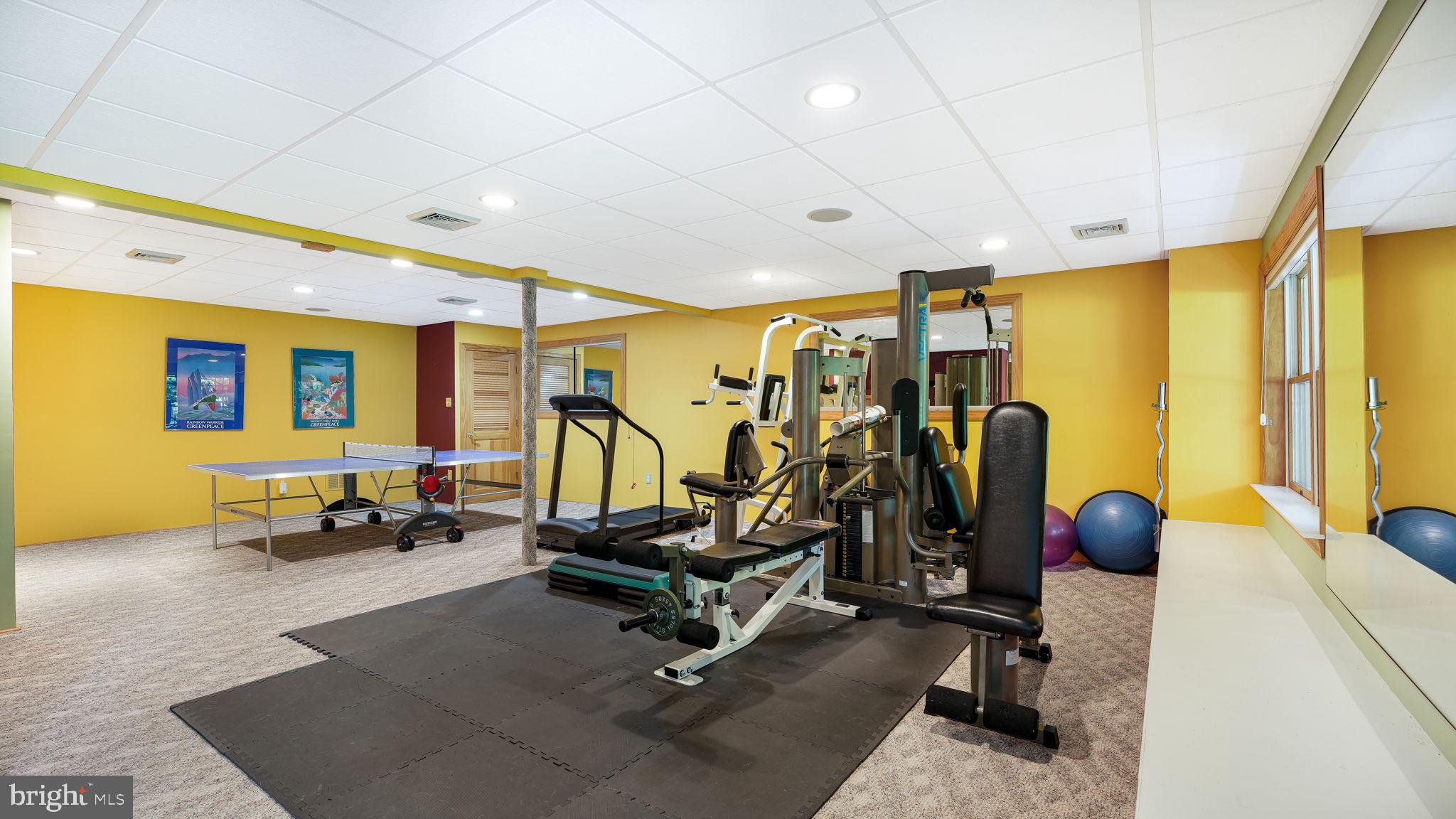 340 West Sandy Ridge Road Doylestown, PA 18901 - Photo 28 of 40 a view of a room with gym equipment