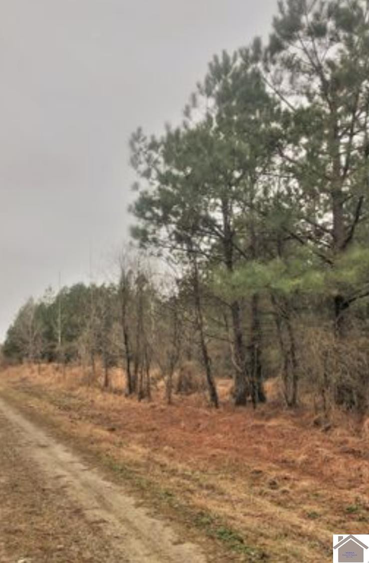 0 Mitchell Road Burna, KY 42028 - Photo 1 of 1 Photo 1