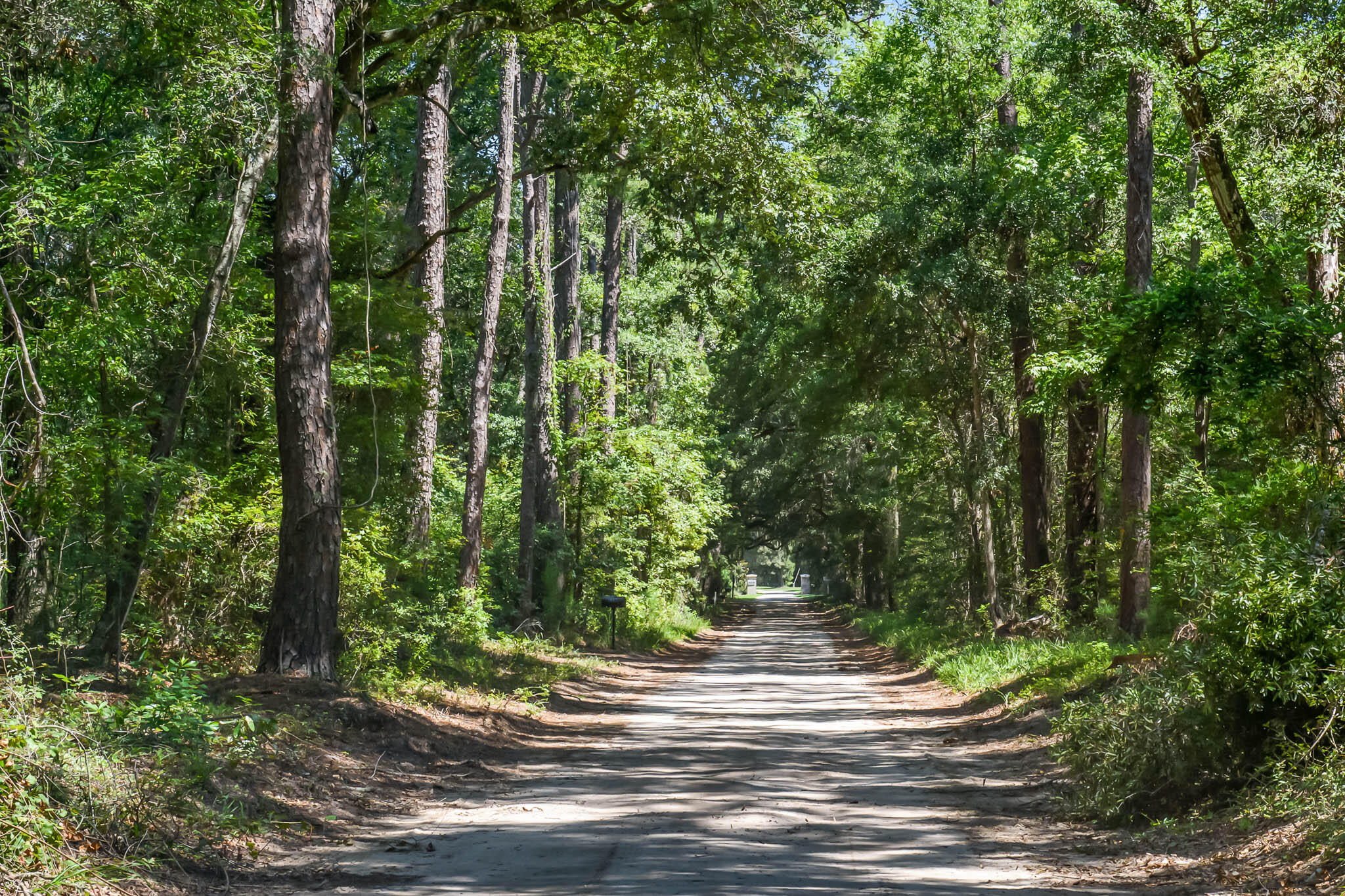 6258 Josie Ridge Road Wadmalaw Island, SC 29487 - Photo 43 of 43 HFL_6258 JOSIE RIDGE-1