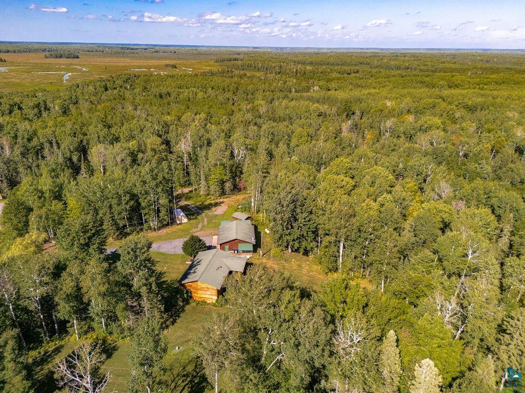 5370 Ugstad Road Hermantown, MN 55811 - Photo 44 of 68 Property situated within a dense forest, featuring a significant treed expanse