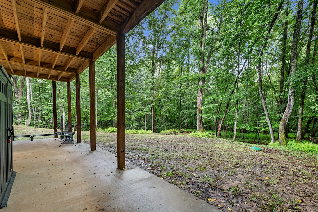 136 Windy Vly Way Blue Ridge, GA 30513 - Photo 49 of 66 Gallery Image 49