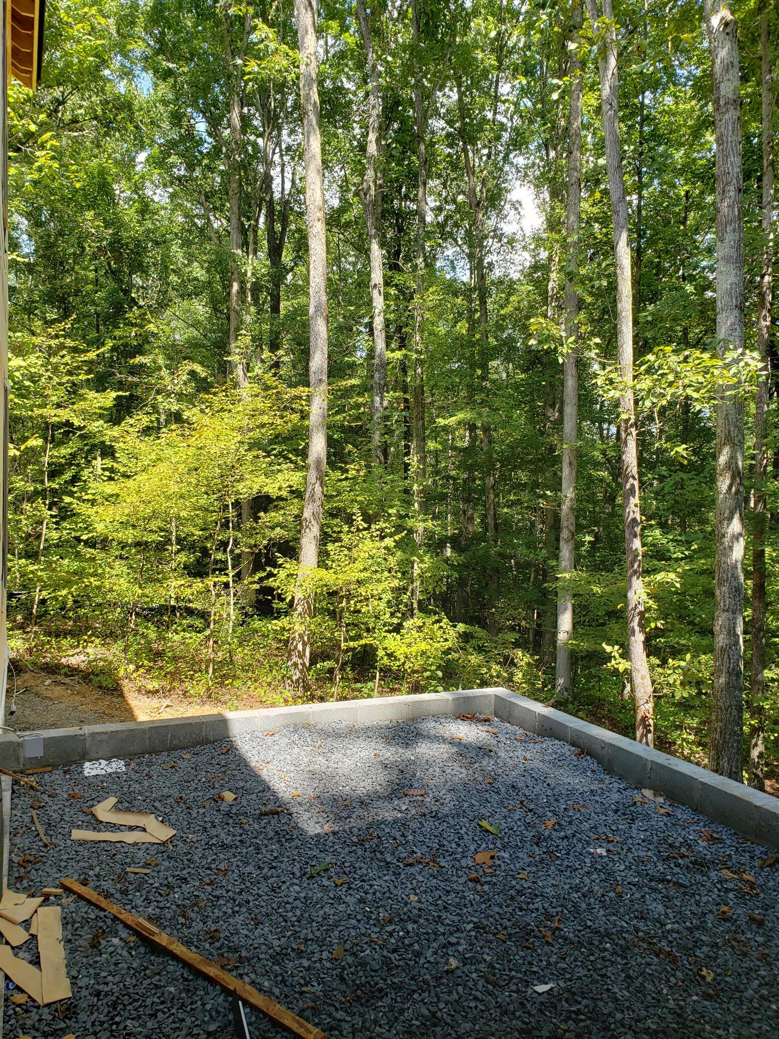5904 Pinewood Road Franklin, TN 37064 - Photo 12 of 24 a view of a yard with an trees