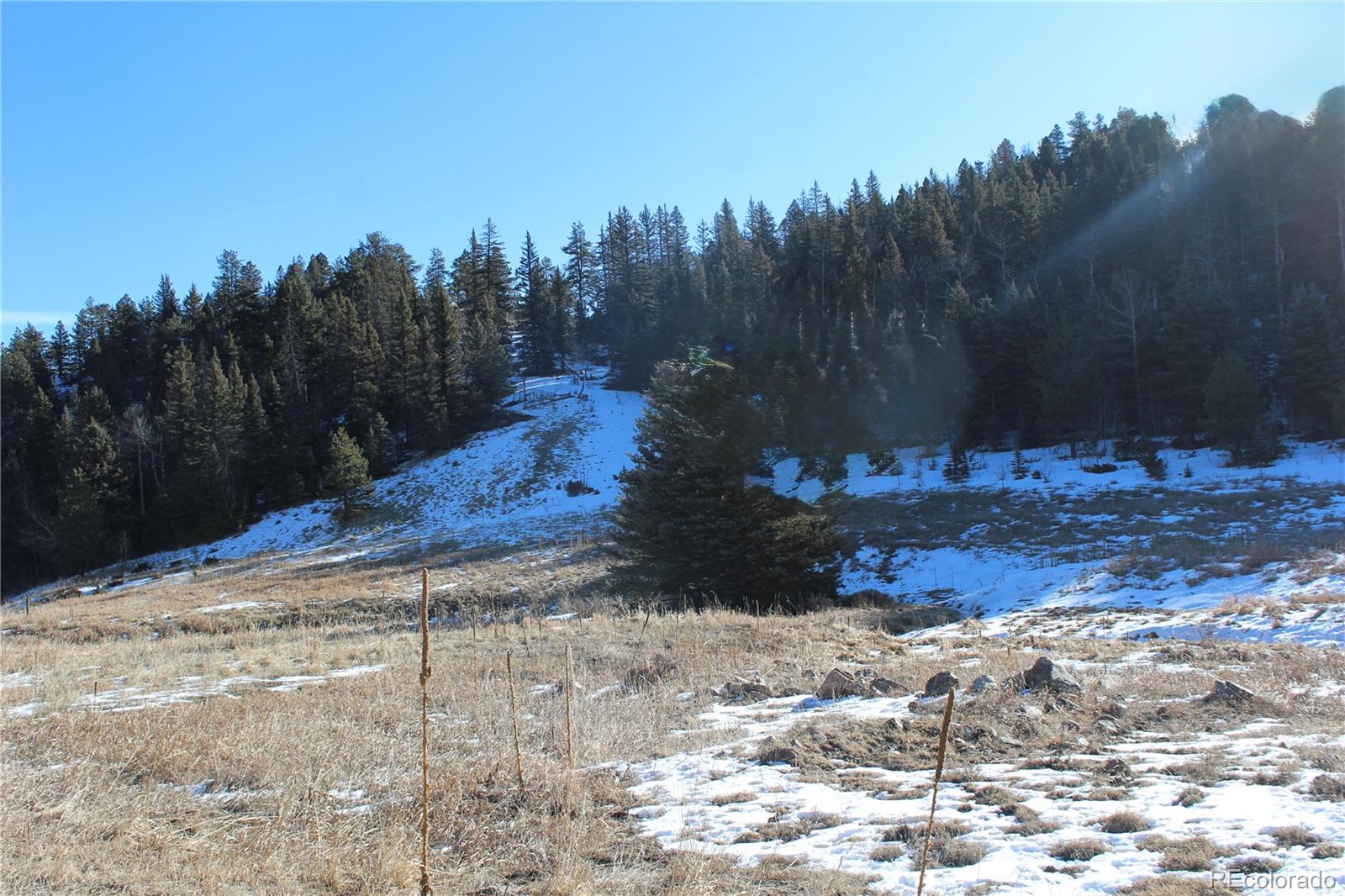 Lot 1 Co Road Westcliffe, CO 81252 - Photo 13 of 21 a view of a yard with mountain view