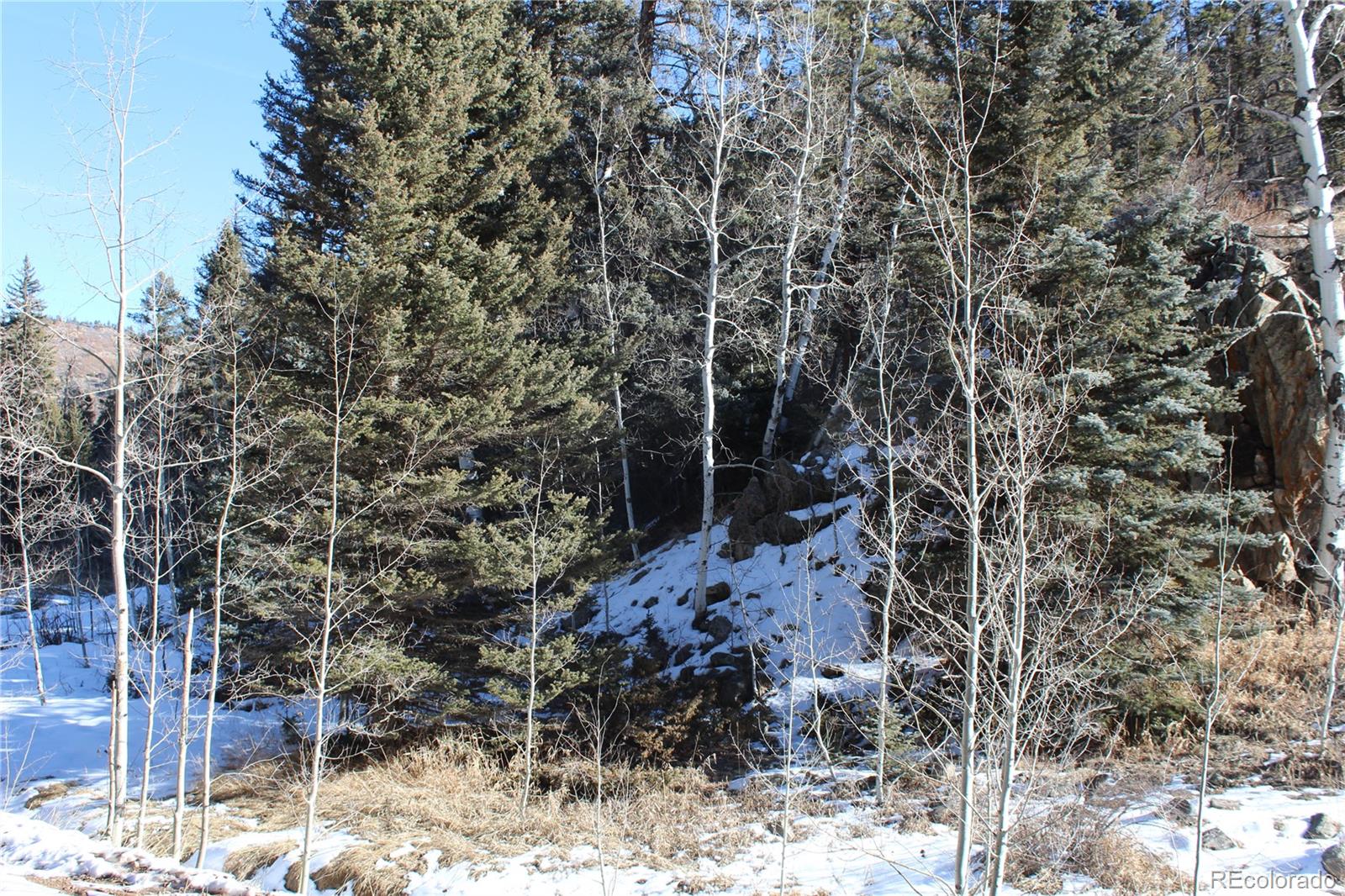 Lot 1 Co Road Westcliffe, CO 81252 - Photo 15 of 21 a picture of trees