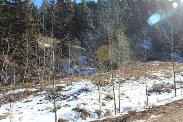 a view of outdoor space with trees all around