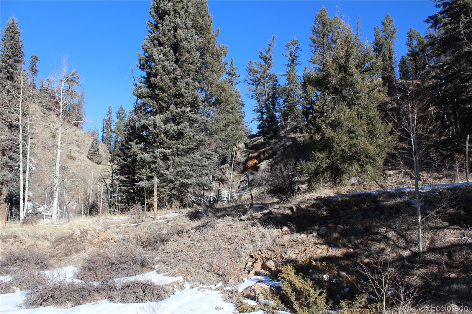 Lot 1 Co Road Westcliffe, CO 81252 - Photo 19 of 21 a view of a forest with trees