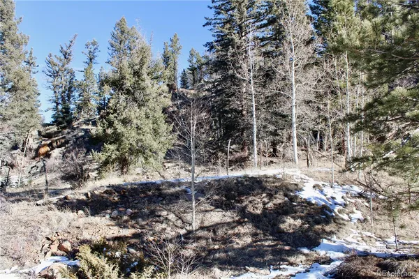 $489,000 | Lot 1 Co Road, Westcliffe, CO 81252