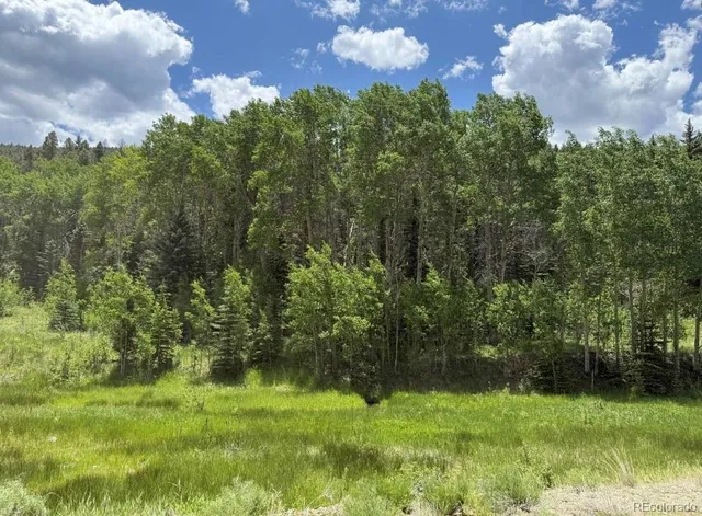 $489,000 | Lot 1 Co Road, Westcliffe, CO 81252