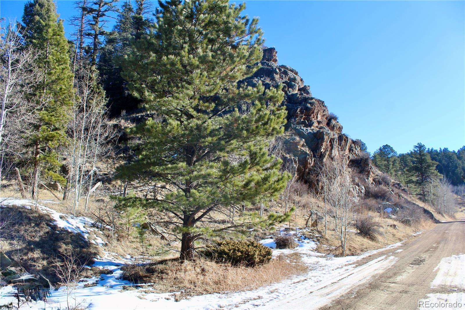 Lot 1 Co Road Westcliffe, CO 81252 - Photo 21 of 21 a view of a tree