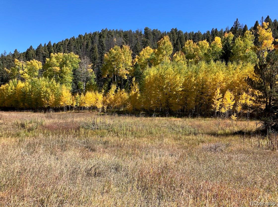 Lot 1 Co Road Westcliffe, CO 81252 - Photo 3 of 21