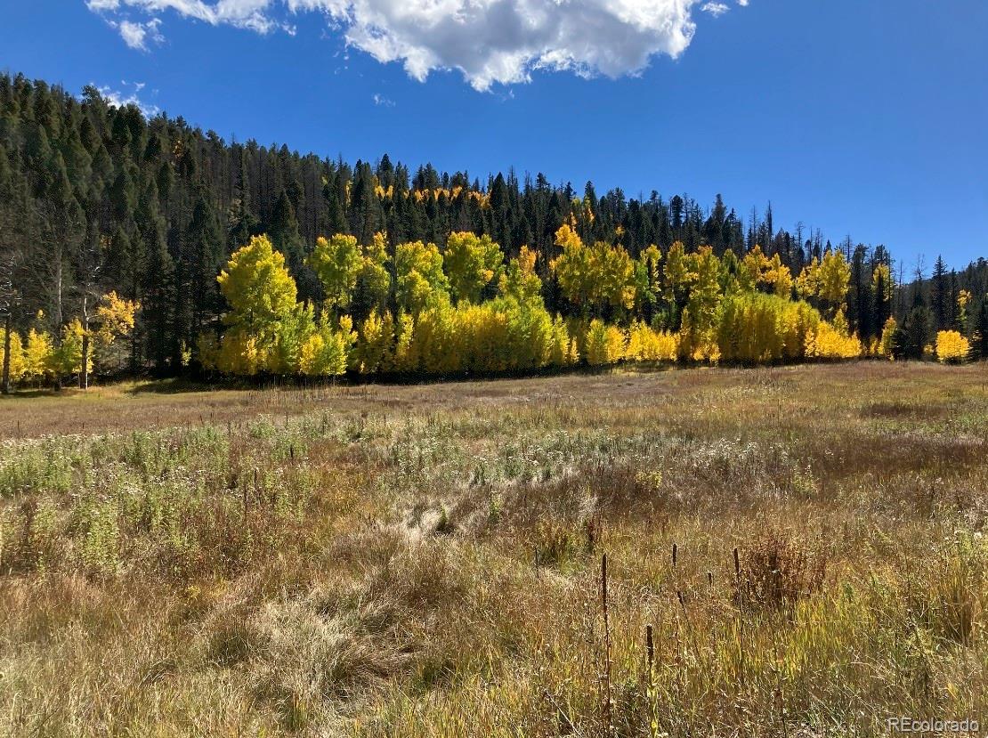 Lot 1 Co Road Westcliffe, CO 81252 - Photo 5 of 21 a view of a yard