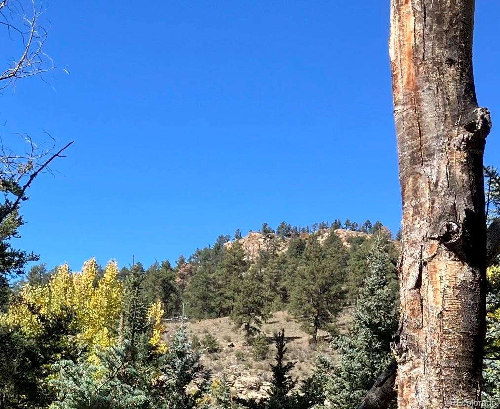 Lot 1 Co Road Westcliffe, CO 81252 - Photo 5 of 8