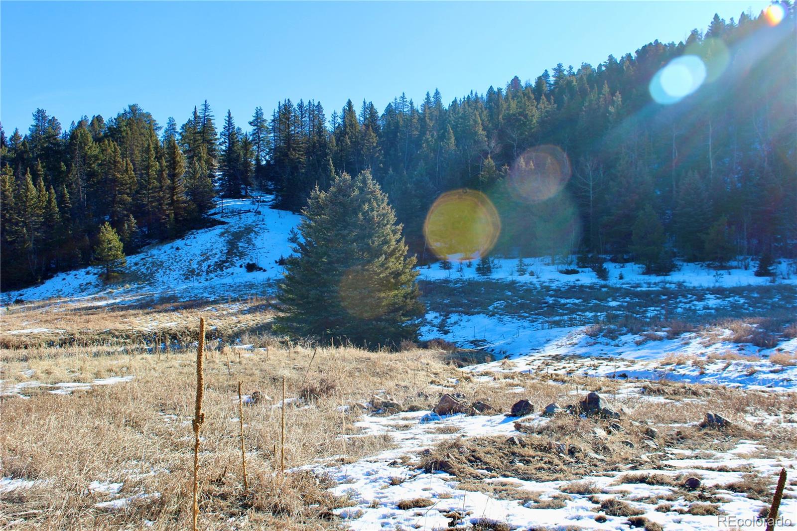Lot 1 Co Road Westcliffe, CO 81252 - Photo 7 of 21