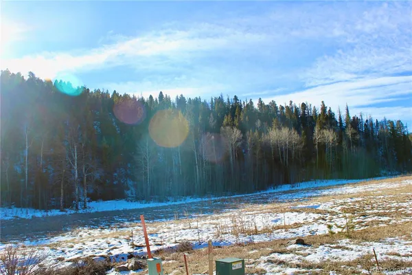a view of lot of trees and tree in the background