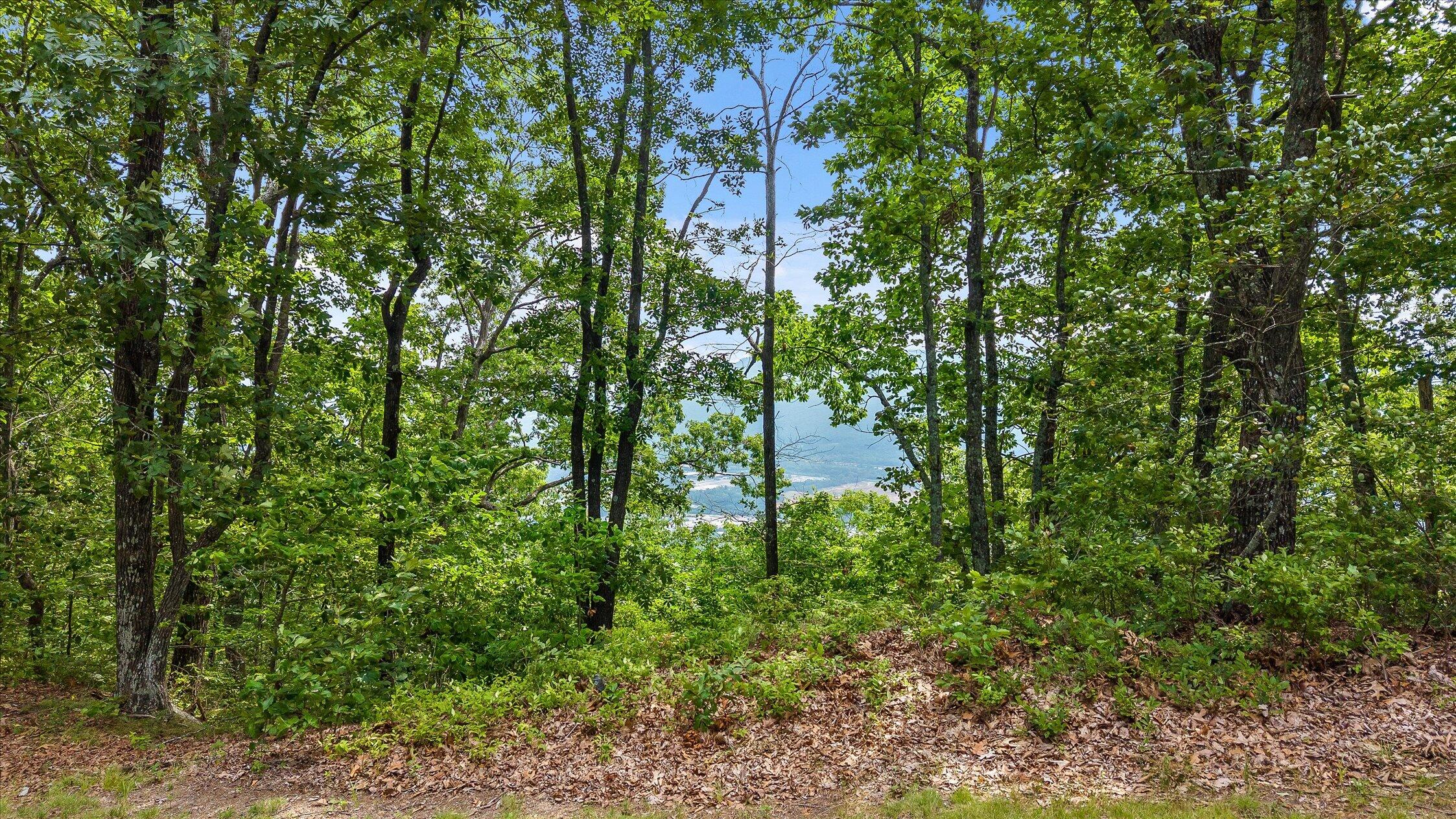 4125 Amethyst Road, Unit 801/802 Chattanooga, TN 37419 - Photo 12 of 46 11-4125 Amethyst-40