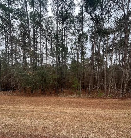 $290,000 | Lot 80 Banning Way Road, Tallahassee, FL 32309