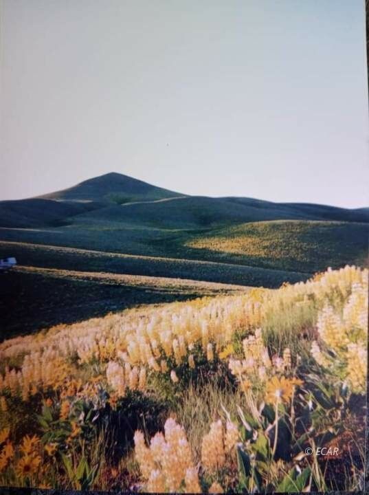 40 North Rge Mdb&m Wells Wells, NV 89835 - Photo 16 of 18
