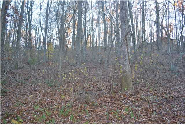 1818 Lewis Mine Road Signal Mountain, TN 37377 - Photo 20 of 20 Additional Photo