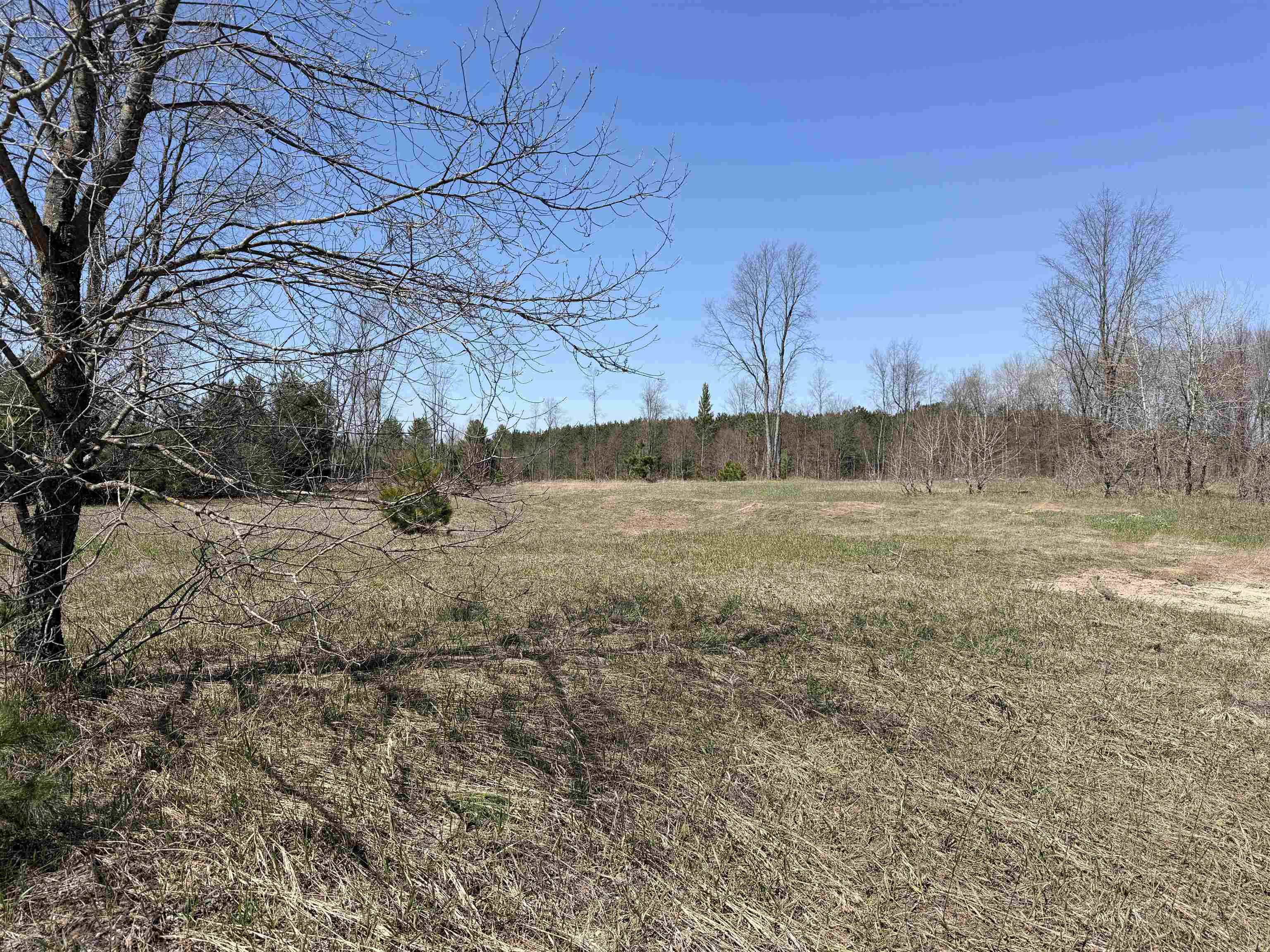 0 Landis Road Thompsonville, MI 49683 - Photo 19 of 26