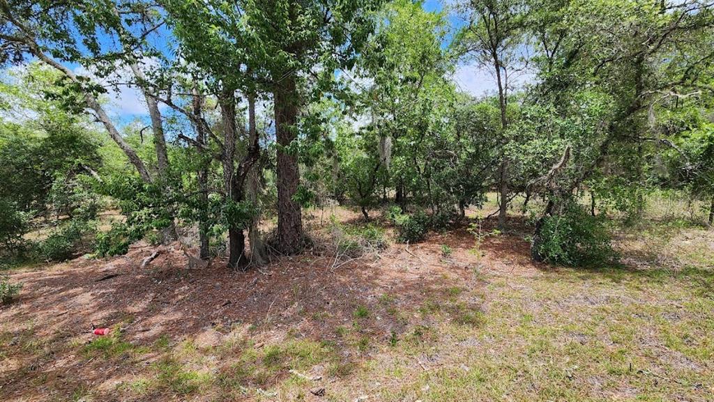 Southwest Pine Bluffs Road Dunnellon, FL 34431 - Photo 1 of 1 Lot goes up hill from the road