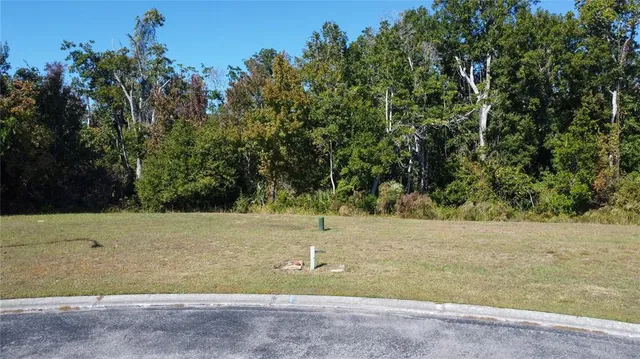 a view of a yard with a tree