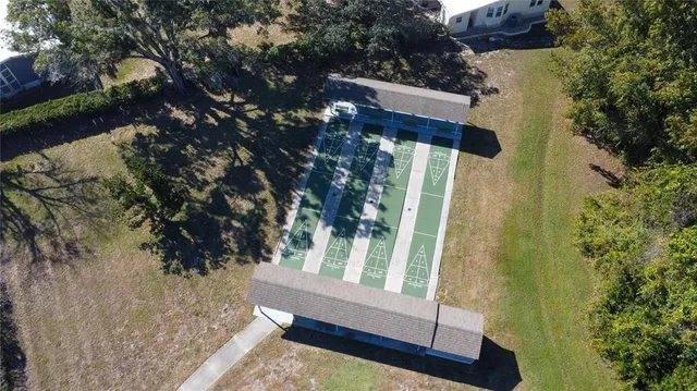 a view of a tennis ground with a large tree