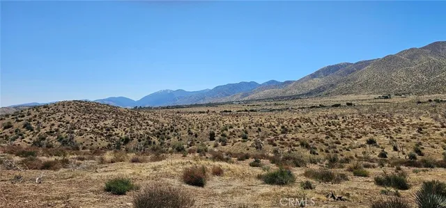 a view of a field with a mountain in the background