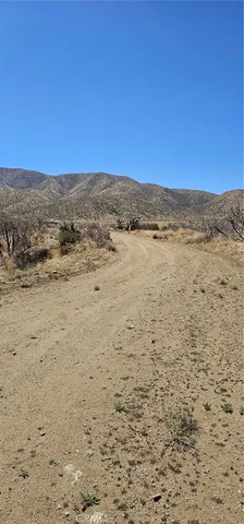 a view of beach and ocean