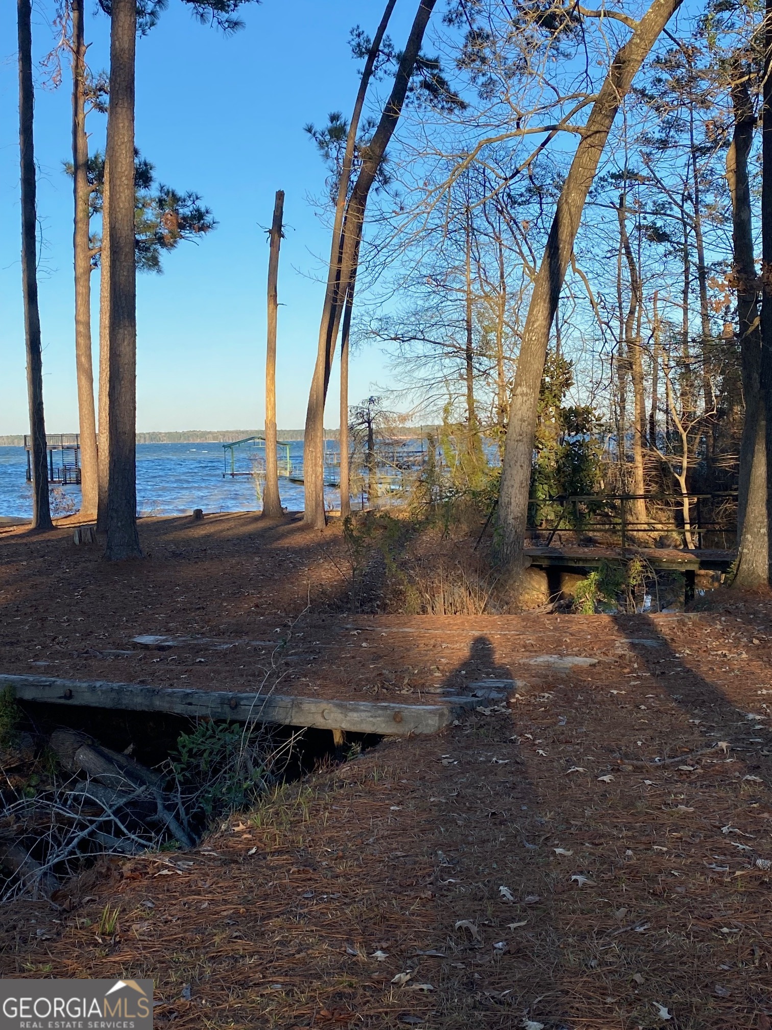 1008 Lakeshore Drive Abbeville, AL 36310 - Photo 26 of 31