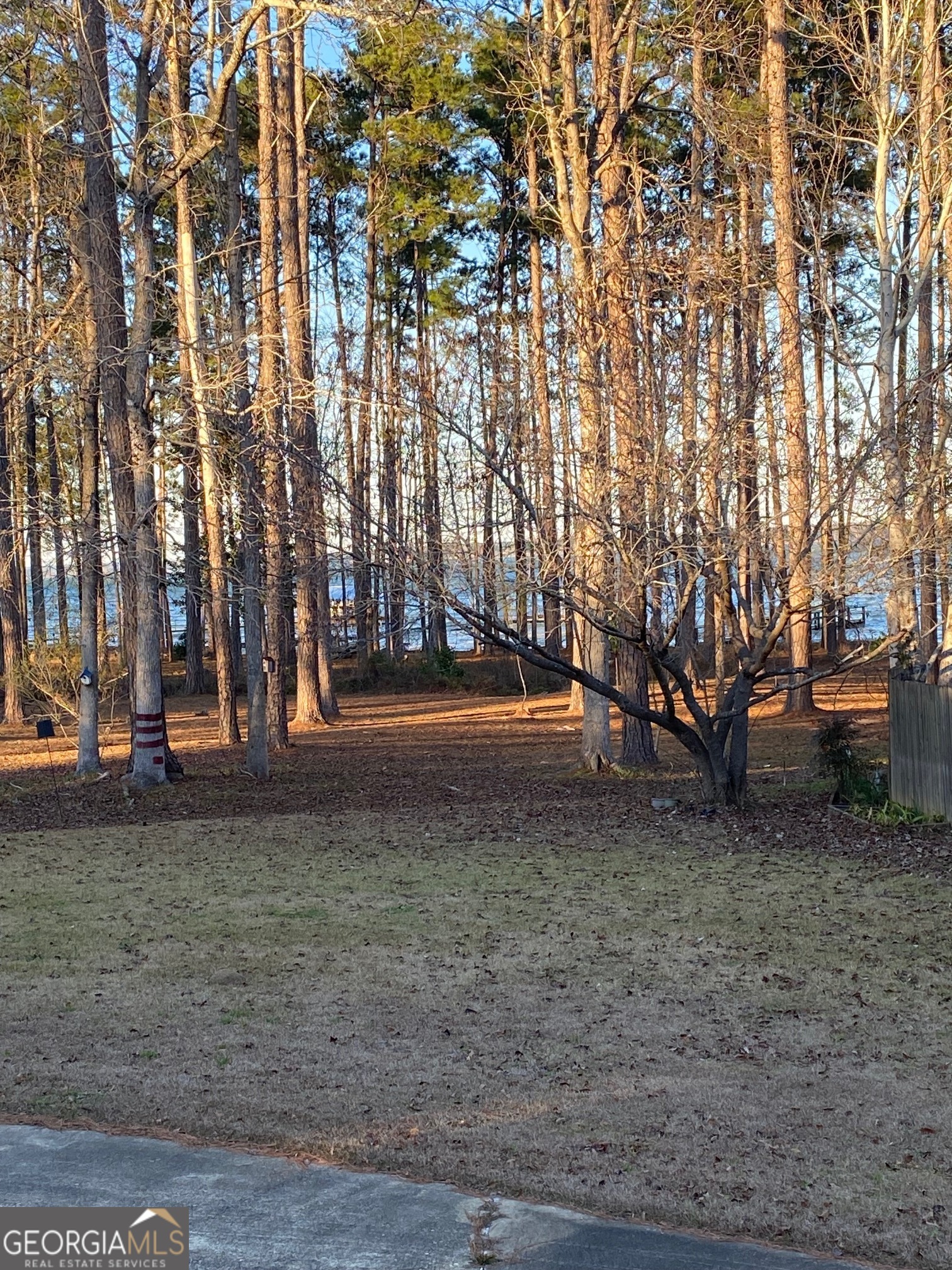 1008 Lakeshore Drive Abbeville, AL 36310 - Photo 27 of 31