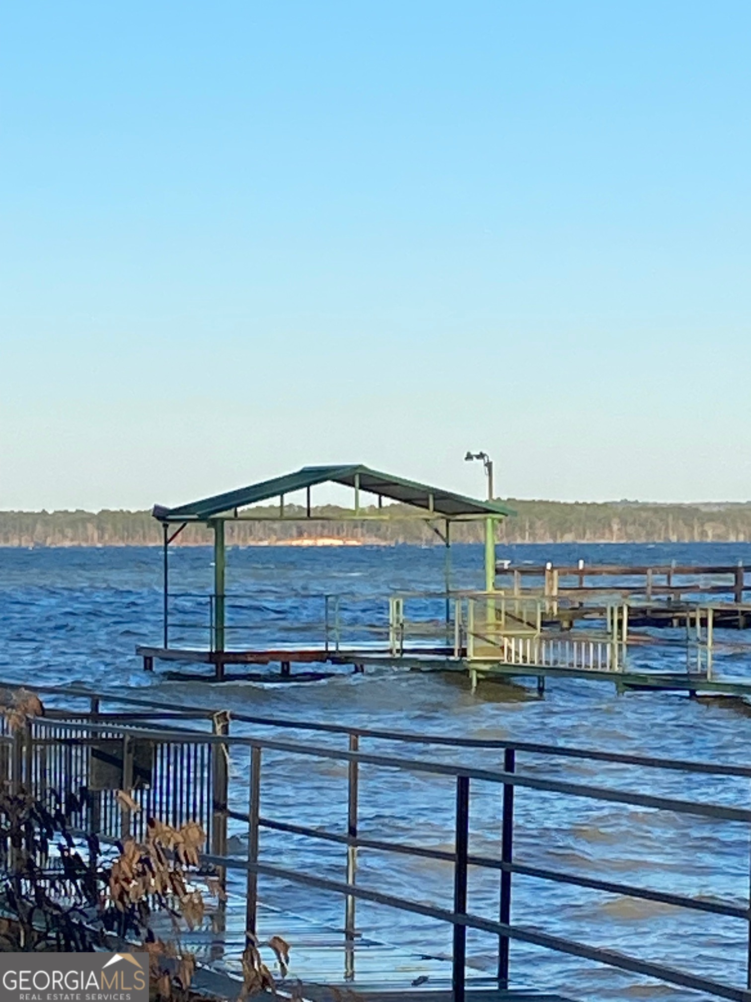 1008 Lakeshore Drive Abbeville, AL 36310 - Photo 29 of 31